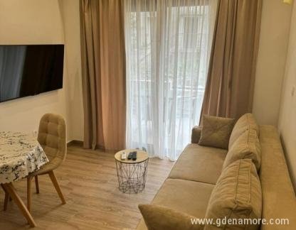 Alex Apartments , Apartman 1 i Apartman 2 (identicni su), privatni smeštaj u mestu Dobrota, Crna Gora - 596644834